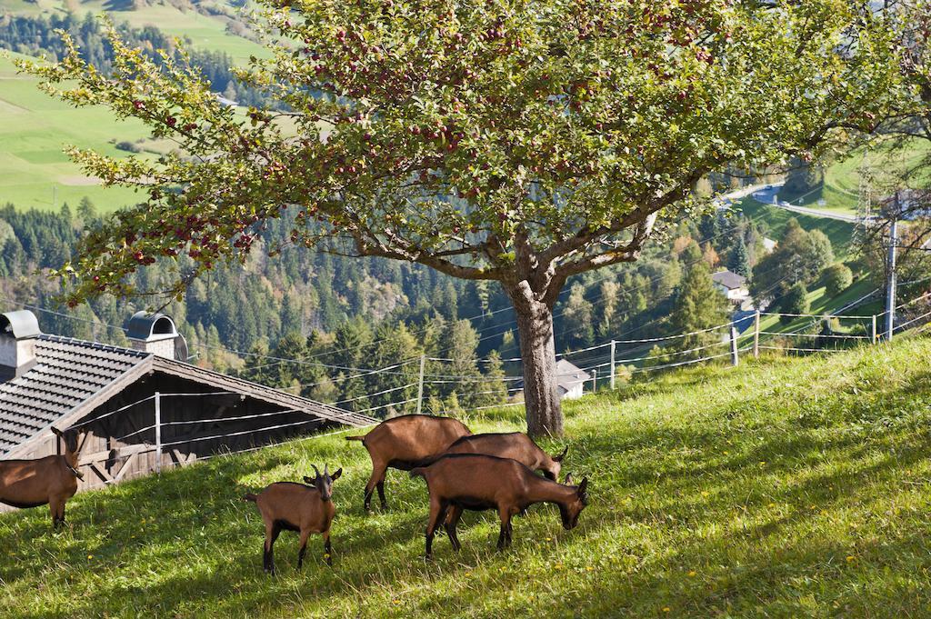 Hotel Gasthof Handl Schönberg im Stubaital Kültér fotó